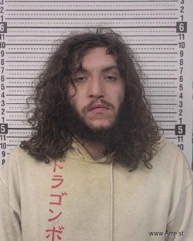 Austin Tyler Walker Mugshot