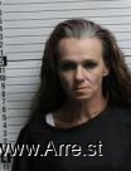 Beth Ann Willard Mugshot