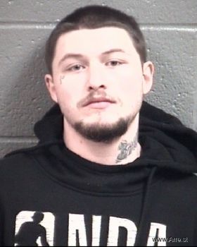 Bailey Austin Haynes Mugshot