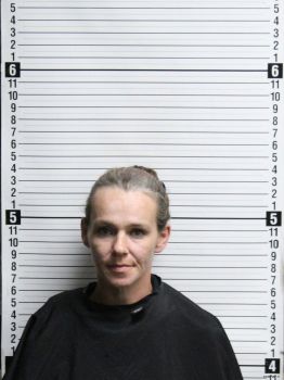 Beth Ann Willard Mugshot