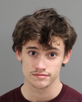 Blake Tanner Williams Mugshot