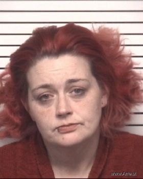 Brandi Ann Johnson Mugshot