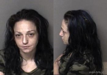 Brandie Lynn Miles Mugshot