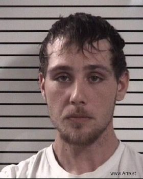 Brandon Allan Blevins Mugshot