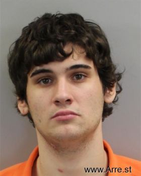 Brandon Tyler Burrow Mugshot