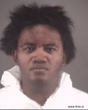 Brandon Michael Bussey Mugshot