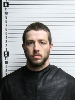 Brandon Westley Harrison Mugshot