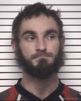 Brandon Michael Holland Mugshot