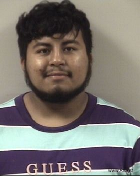 Brandon  Luna Mugshot