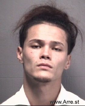 Brandon Riley Mcghee-austin Mugshot