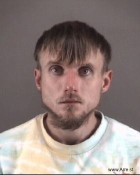 Brandon Edward Nelson Mugshot