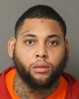 Brandon Roy Ross Mugshot