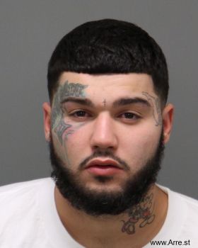 Brandon Soler Perez Mugshot