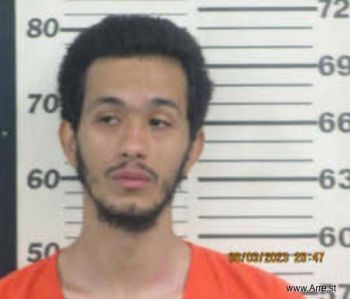 Brandon Lee Torres Mugshot