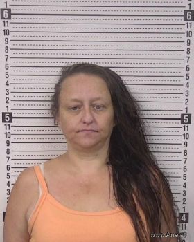 Brandy Jo Lovett Mugshot