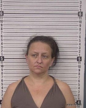 Brandy Jo Lovett Mugshot