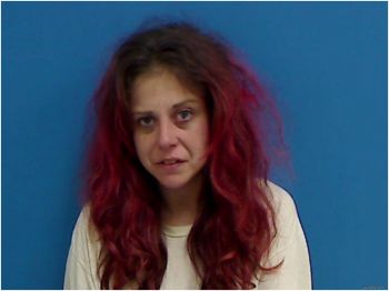 Brandy Renee Strickland Mugshot