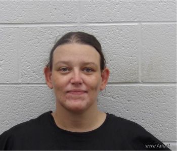 Brandy Nicole Wilson Mugshot