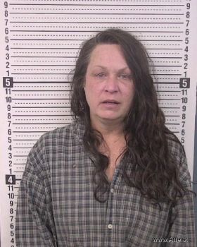 Brenda Sue Summerlin Mugshot