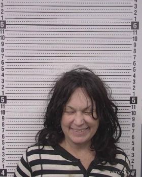 Brenda Sue Summerlin Mugshot