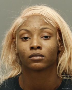 Briana Nicole Burke Mugshot