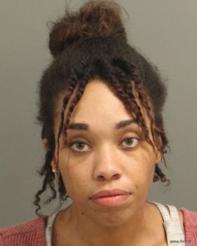 Brianna Michelle Fritz Mugshot