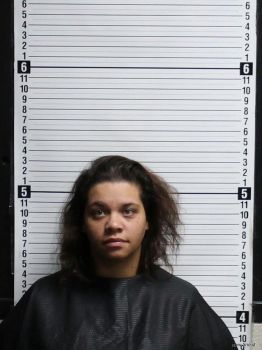 Brittany Jean Hughes Mugshot