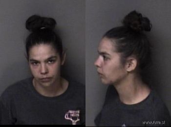 Brittany Nicole Williamson Mugshot