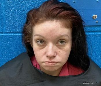 Brittany Lynn Wolf Mugshot