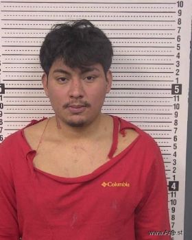 Bryan Perez Chavez Mugshot