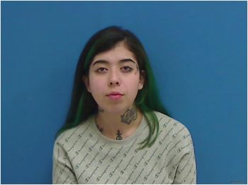 Bryana Salymar Martines Mugshot