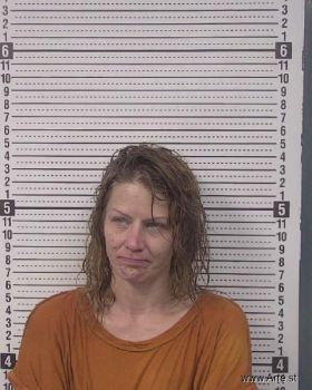 Callie Laine Arns Mugshot