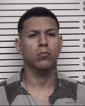 Carlos Manuel Giron Mugshot