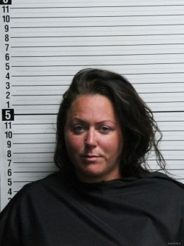 Carrie Leigh Jenkins Mugshot