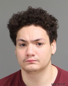 Castleton-antoni Terceros Mayo Mugshot