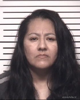 Cecilla Elizabeth Martinez Mugshot