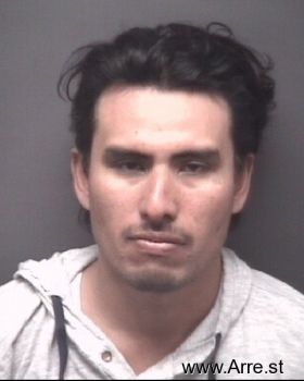 Cesar Alberto Castillo-reyes Mugshot