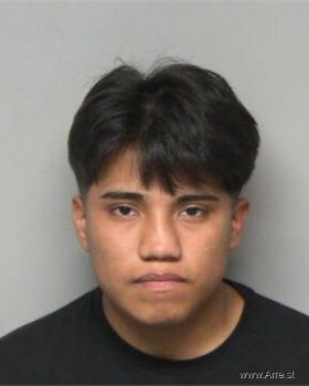 Cesar Vijil Ramos Mugshot