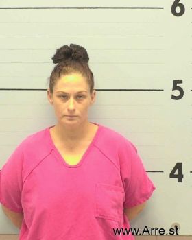 Chanda Marie Mcfalls Mugshot