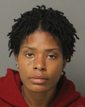 Chantel Lashay Williams Mugshot