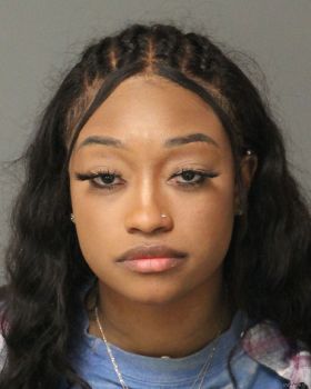 Chasity Renae Williams Mugshot