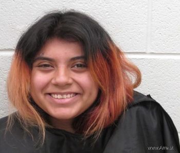 Chelsea Juanita Santiz Mugshot