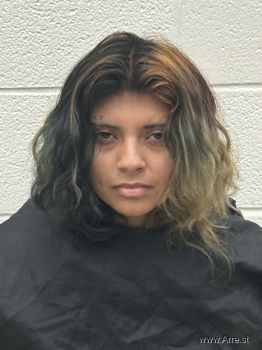 Chelsea Juanita Santiz Mugshot