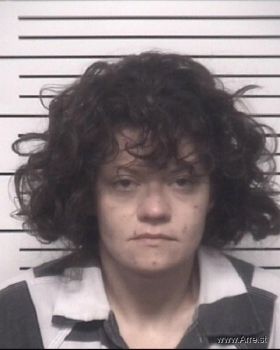 Chelsea Rose Wilson Mugshot