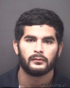 Christian Segovia Flores Iii Mugshot