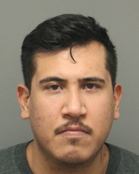 Christian Armando Torres-lara Mugshot