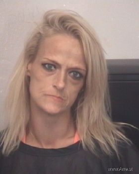 Christin Nichole Turner Mugshot