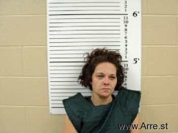 Christina Lee Davis Mugshot