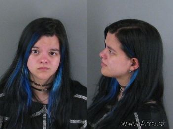 Christina Maria Jenkins Mugshot