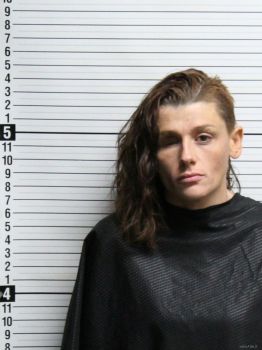 Christina Nicole Ward Mugshot